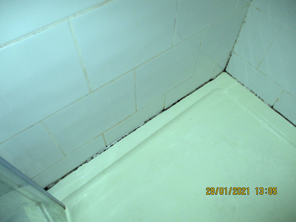 Shower cleaning issue